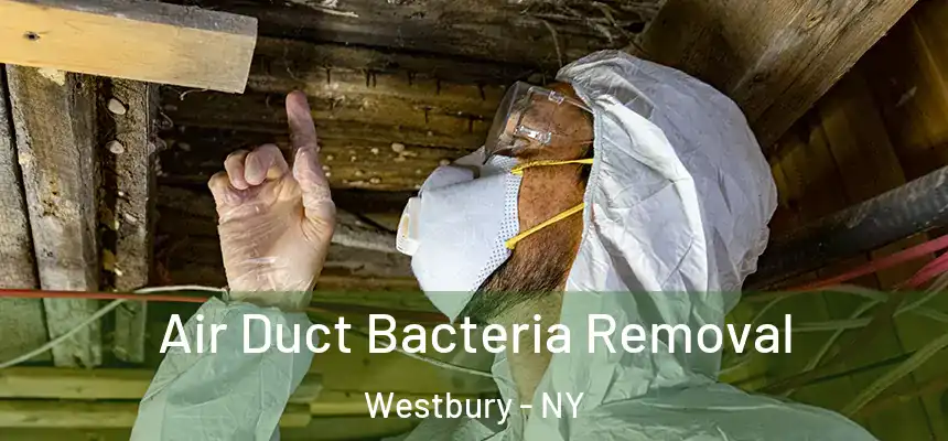  Air Duct Bacteria Removal Westbury - NY