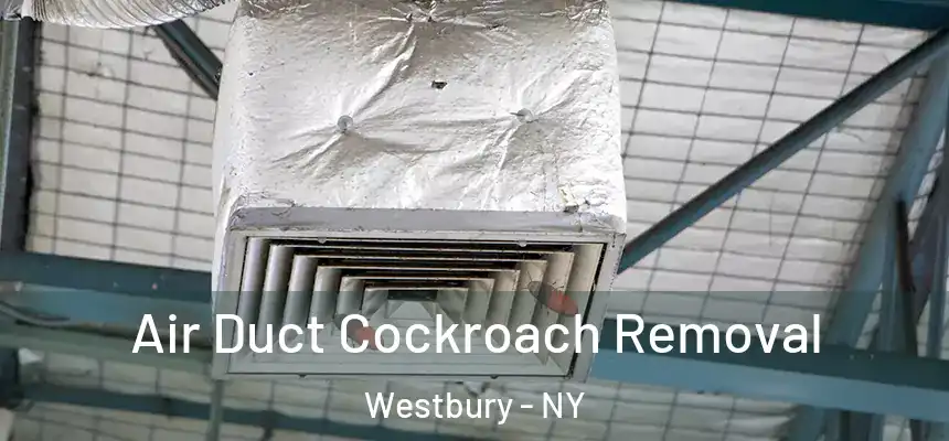  Air Duct Cockroach Removal Westbury - NY