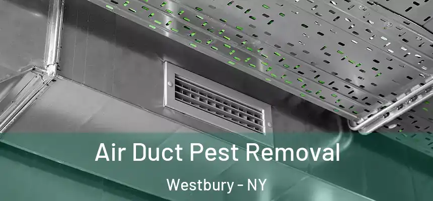  Air Duct Pest Removal Westbury - NY