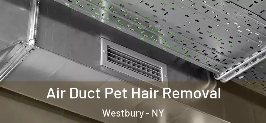  Air Duct Pet Hair Removal Westbury - NY
