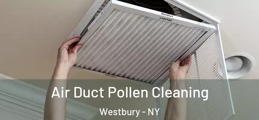  Air Duct Pollen Cleaning Westbury - NY