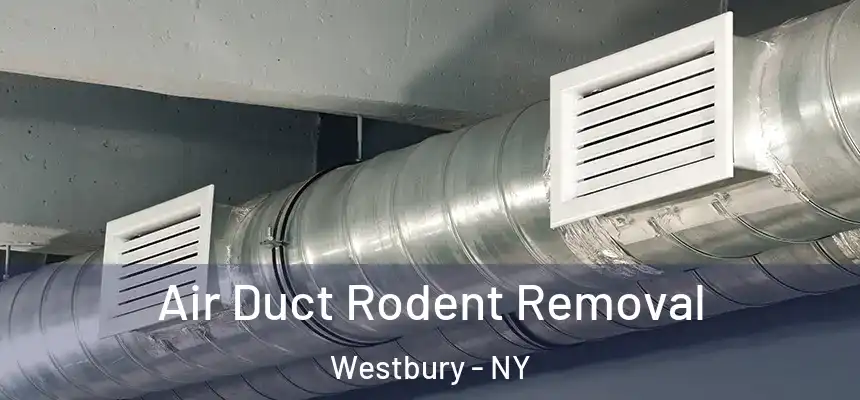  Air Duct Rodent Removal Westbury - NY