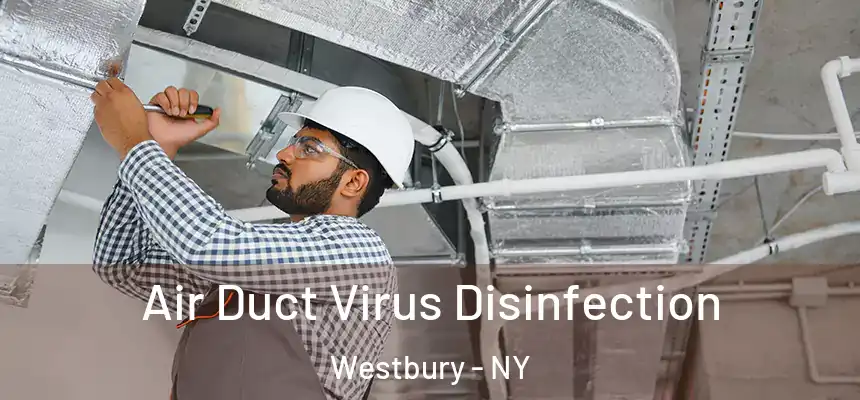  Air Duct Virus Disinfection Westbury - NY