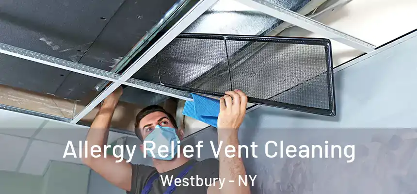  Allergy Relief Vent Cleaning Westbury - NY