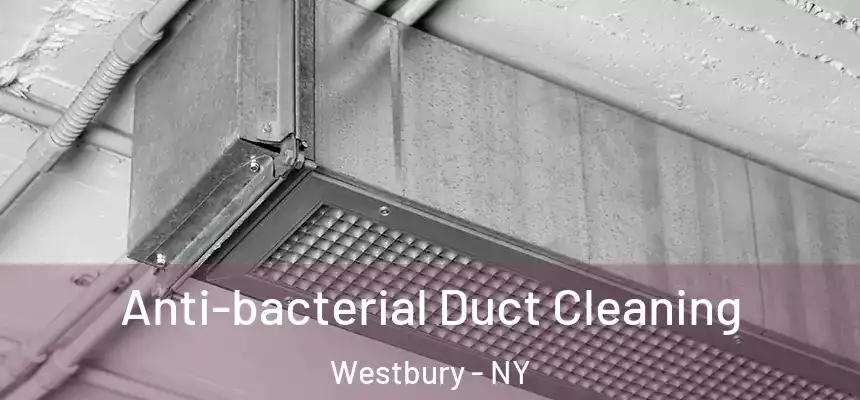  Anti-bacterial Duct Cleaning Westbury - NY