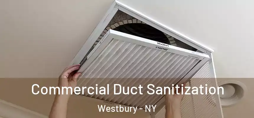  Commercial Duct Sanitization Westbury - NY
