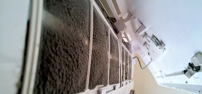 Preventive Air Duct Bacteria Removal in Westbury