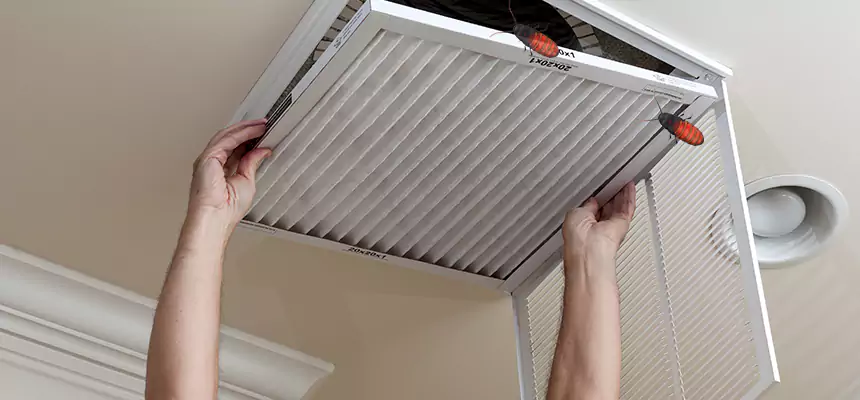 Preventive Cockroach-Proofing for Ducts in Westbury