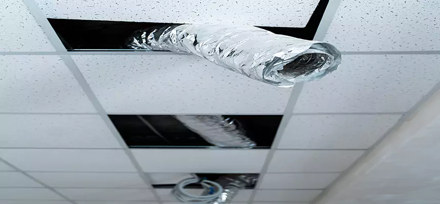 Our Air Duct Pet Hair Removal Services in Westbury, NY