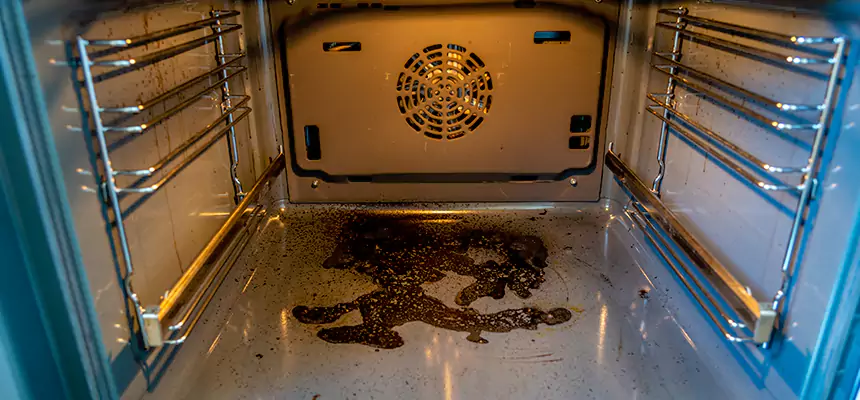 Our Dryer Vent Mold Cleaning Services in Westbury, NY