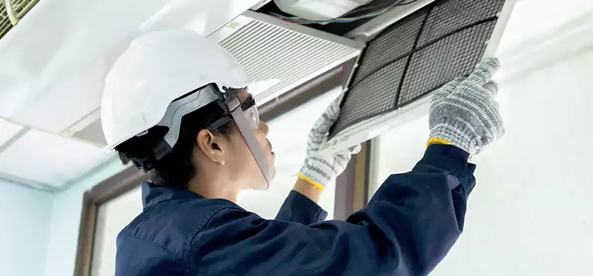 Our Mold & Mildew Removal from Air Ducts Services in Westbury, NY