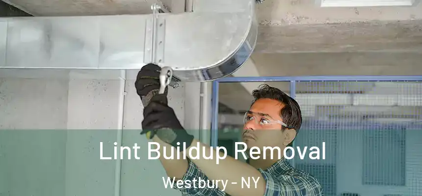  Lint Buildup Removal Westbury - NY
