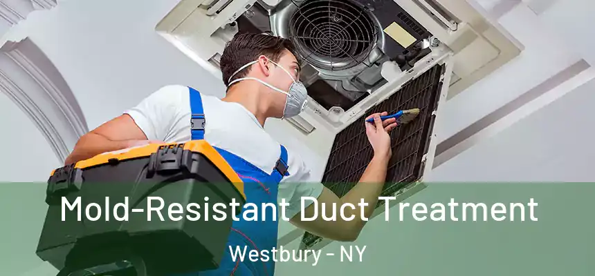  Mold-Resistant Duct Treatment Westbury - NY