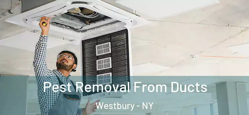  Pest Removal From Ducts Westbury - NY
