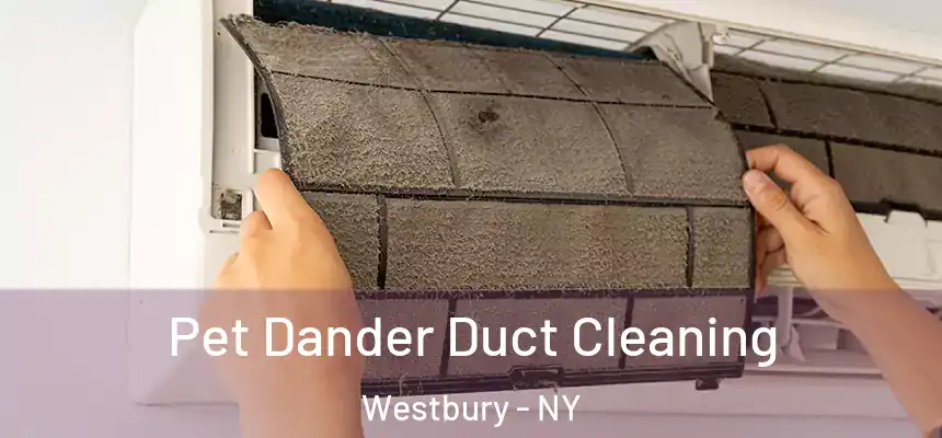  Pet Dander Duct Cleaning Westbury - NY