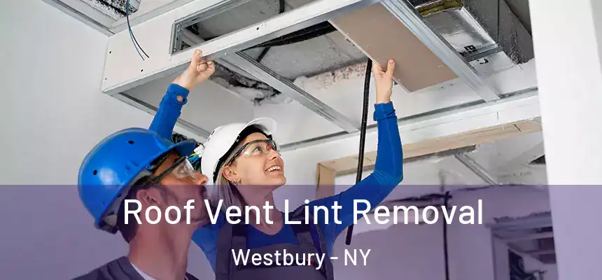  Roof Vent Lint Removal Westbury - NY