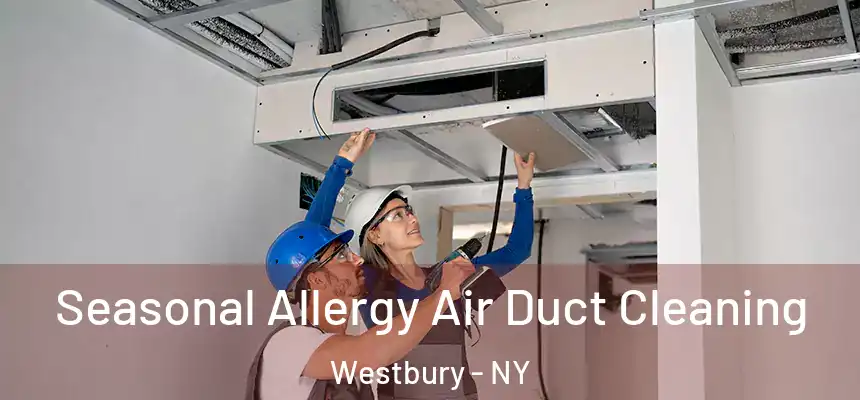  Seasonal Allergy Air Duct Cleaning Westbury - NY