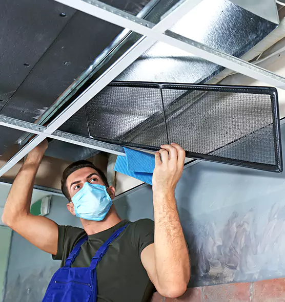 About Air Duct Bacteria Removal in Westbury