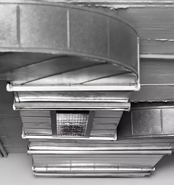 Professional Air Duct Pet Hair Removal in Westbury, NY