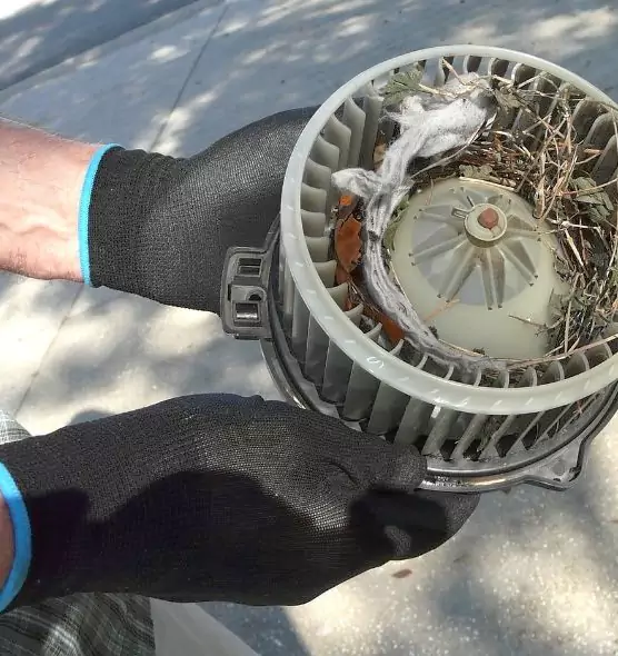 About Air Duct Rat Removal in Westbury, NY