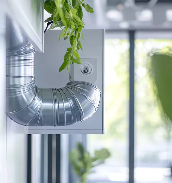 Professional Eco-Safe Dryer Vent Cleaning in Westbury, NY