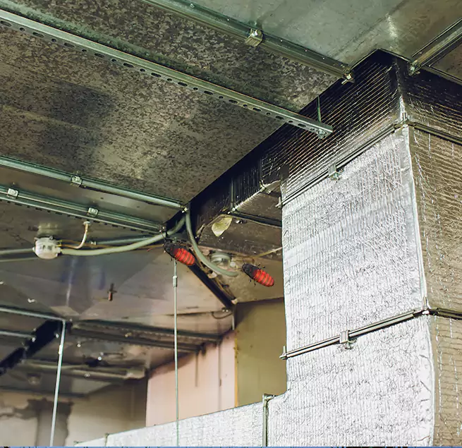 Why Homeowners & Businesses Trust Us in Westbury, NY?