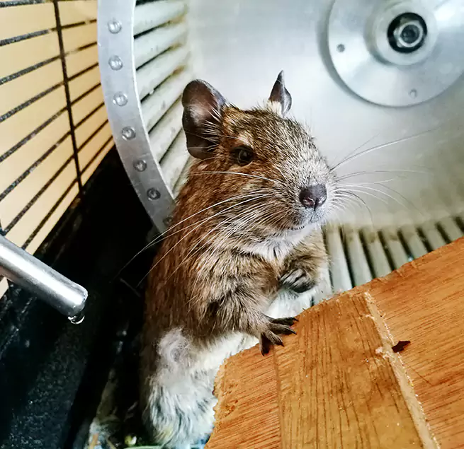 Why Homeowners & Businesses Trust Us Westbury, NY