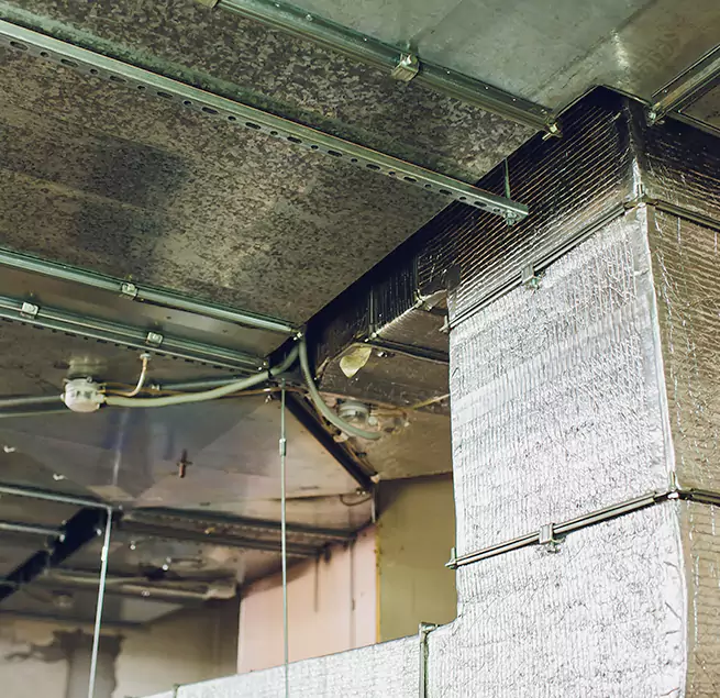 Why Homeowners & Businesses Trust Us in Westbury, NY?