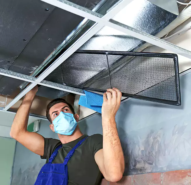 Why Homeowners Businesses Trust Us in Westbury, NY