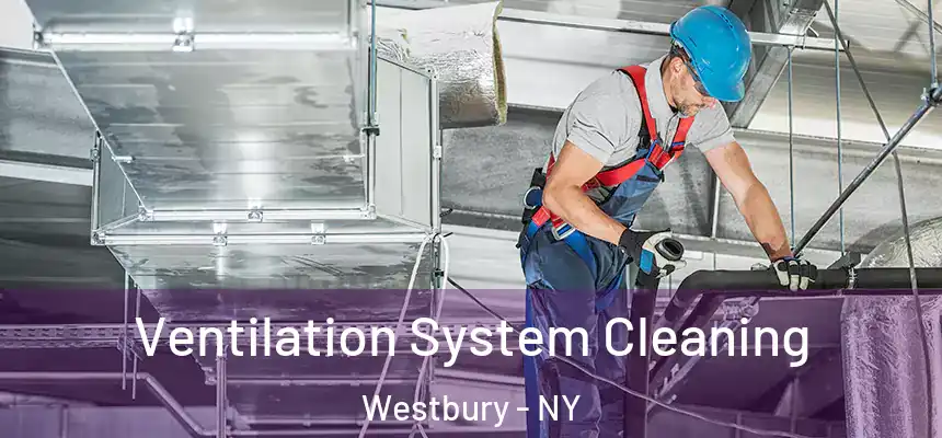  Ventilation System Cleaning Westbury - NY